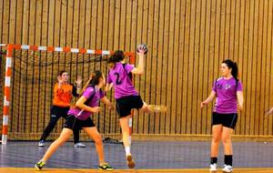 27/01/2013 - vs Villars à Ferney