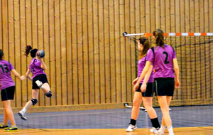 27/01/2013 - vs Villars à Ferney