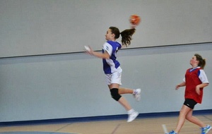 02/02/2013 : vs Châtillon à Ferney