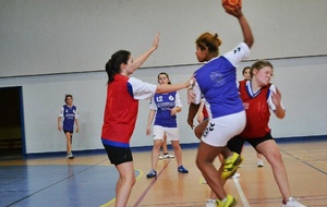 02/02/2013 : vs Châtillon à Ferney