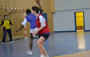 02/02/2013 : vs Châtillon à Ferney