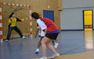 02/02/2013 : vs Châtillon à Ferney