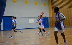 02/02/2013 : vs Châtillon à Ferney