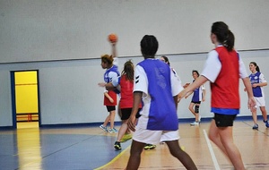 02/02/2013 : vs Châtillon à Ferney