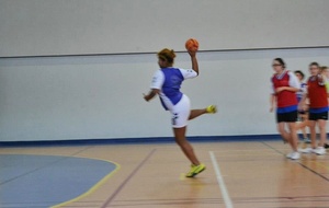 02/02/2013 : vs Châtillon à Ferney