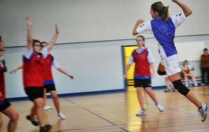 02/02/2013 : vs Châtillon à Ferney