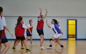 02/02/2013 : vs Châtillon à Ferney