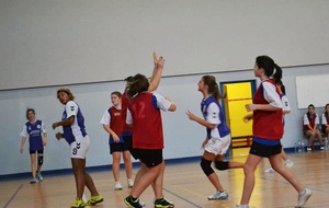 510ec039bf5d6_2013_0202_vsChatillon_34.jpg