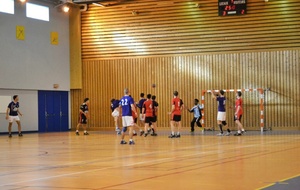 2013_0511_Oyonnax à Ferney