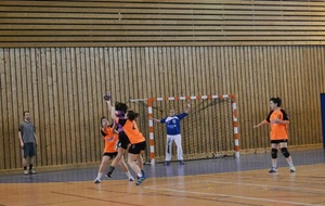 11/05/2013 : Ferney vs Montluel