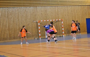 11/05/2013 : Ferney vs Montluel