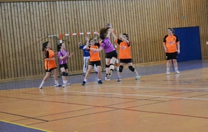 11/05/2013 : Ferney vs Montluel