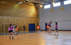 11/05/2013 : Ferney vs Montluel