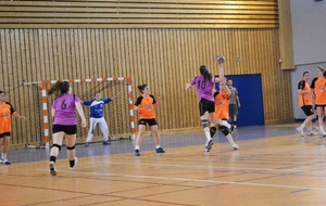 11/05/2013 : Ferney vs Montluel