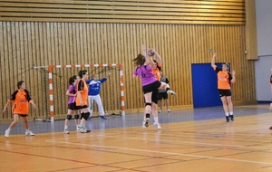 11/05/2013 : Ferney vs Montluel
