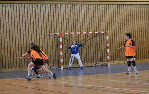 11/05/2013 : Ferney vs Montluel