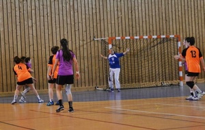 11/05/2013 : Ferney vs Montluel