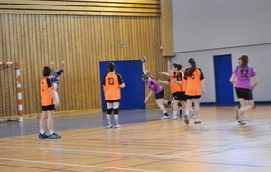 11/05/2013 : Ferney vs Montluel