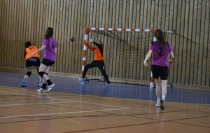 11/05/2013 : Ferney vs Montluel