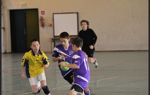 52e65e3cb36db_compIMG9613.jpg