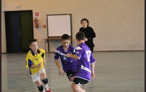 52e65e5378dd0_compIMG9612.jpg